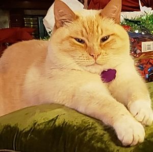 Meet your Posher, Kathleen